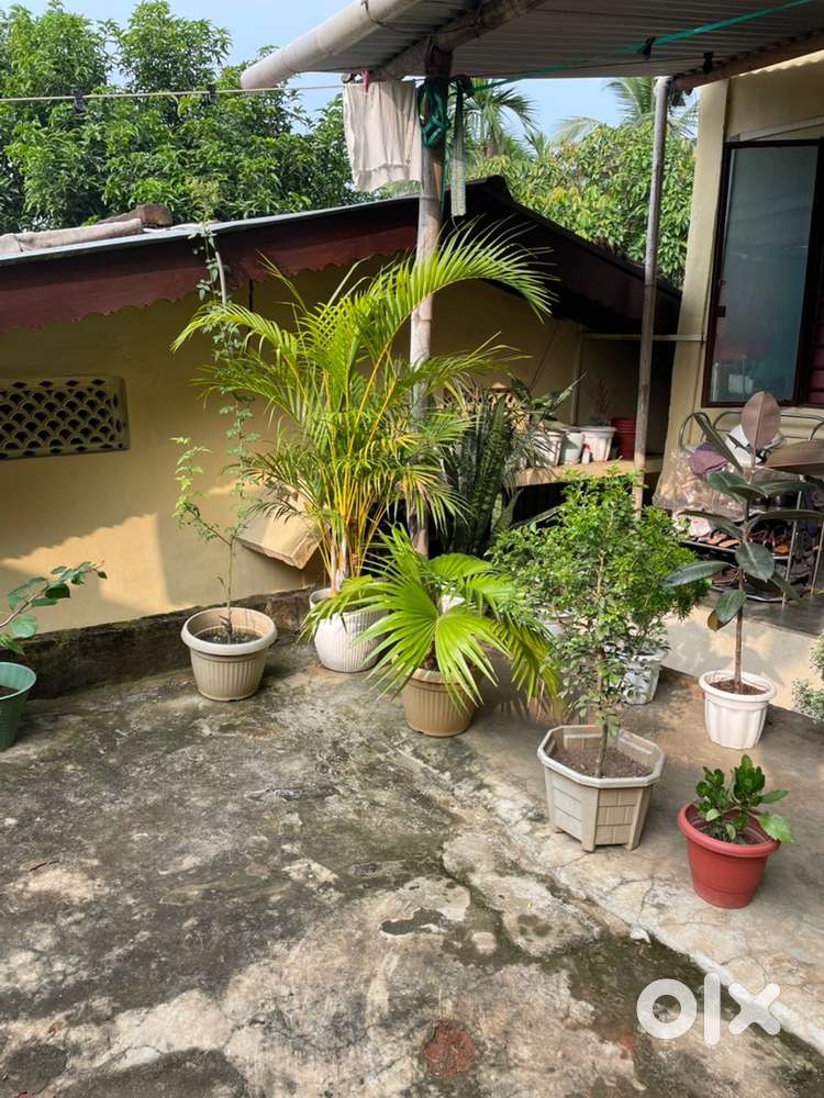 Eksonia land with assam type house