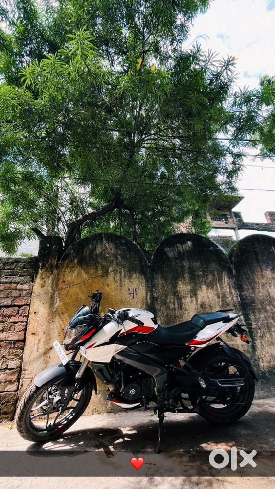 Pulsar NS1600 2024