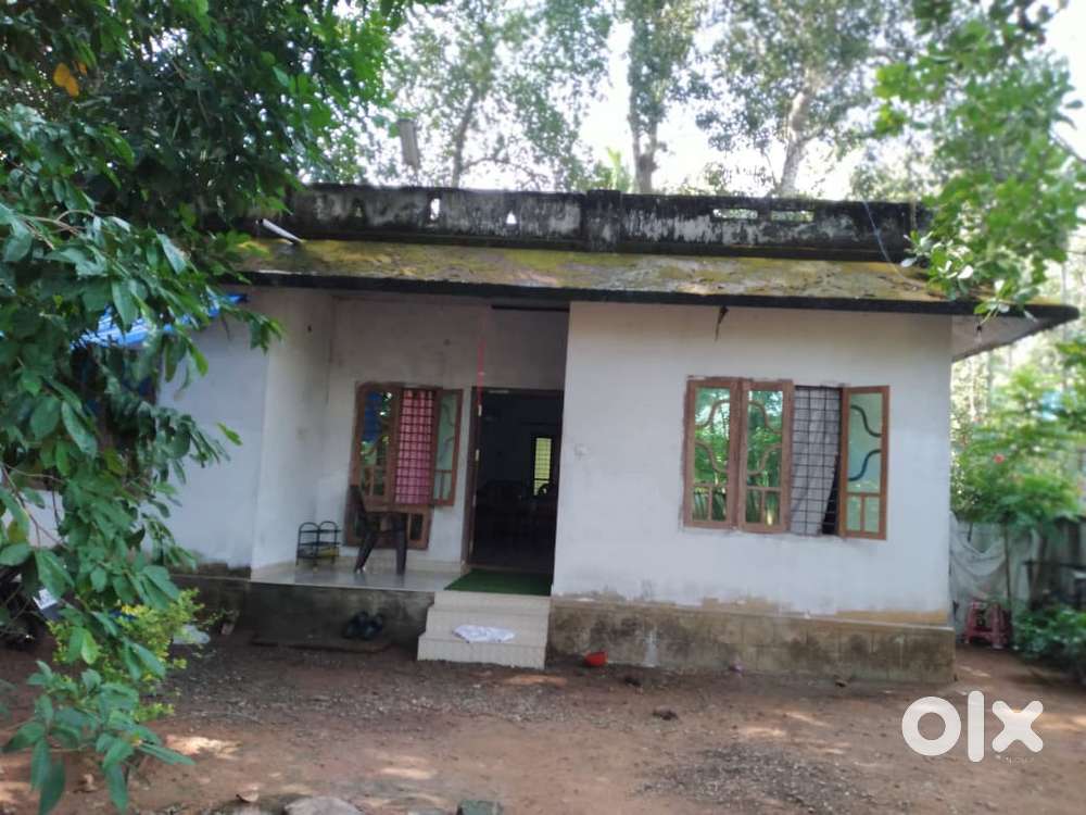 House for rent and lease .