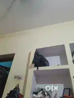 Need for girl roommate