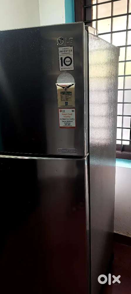Lg double door