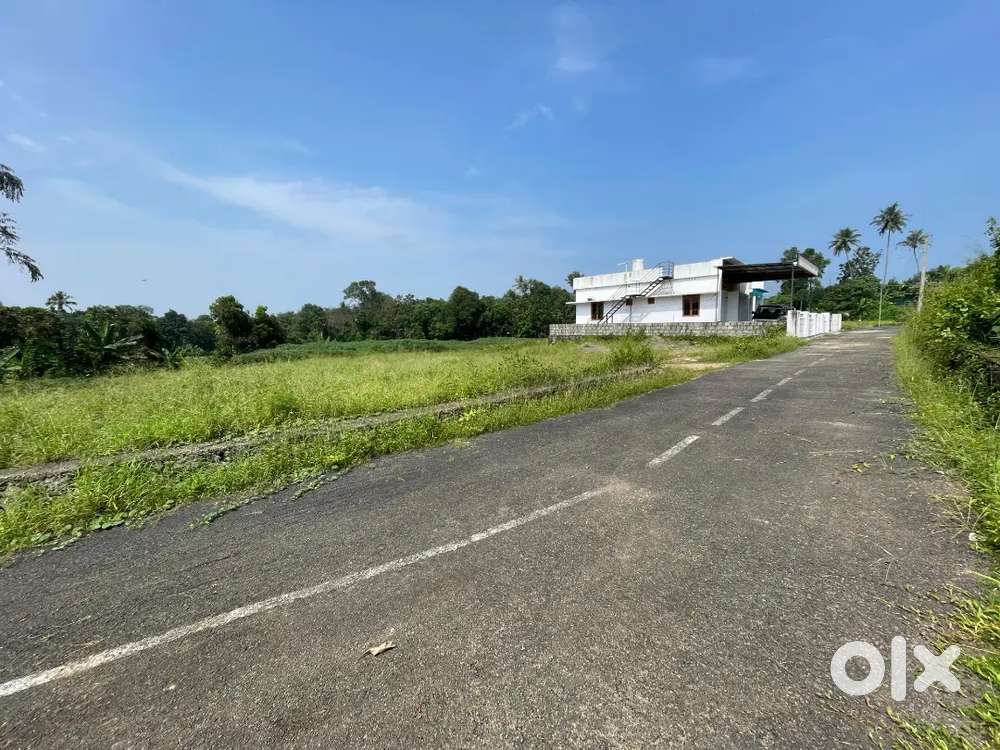 Kothamangalam kozhipilly premium house plots for sale