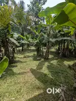 10 cents , 20 cents land for sale