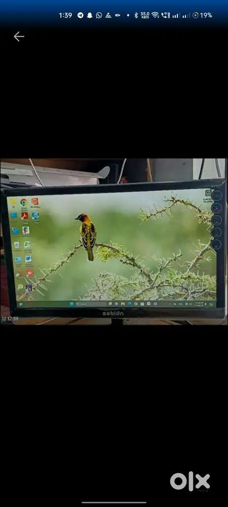 Brand new Zebronics computer
