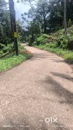 LAND FOR SALE IN ANACHAL , MUNNAR