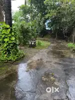 Sale, my land with boundary