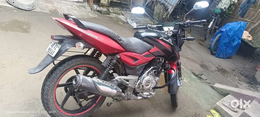 All paper is updated