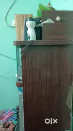 TV showcase