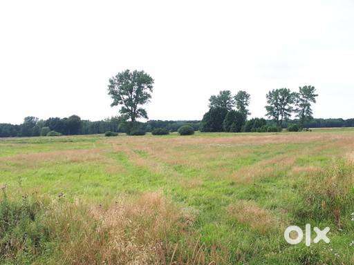 Residential & Investment Plots for Sale