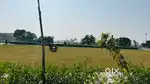Delhi road on highway