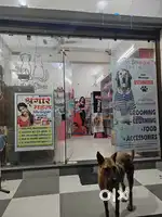 Toughened glass for Shop