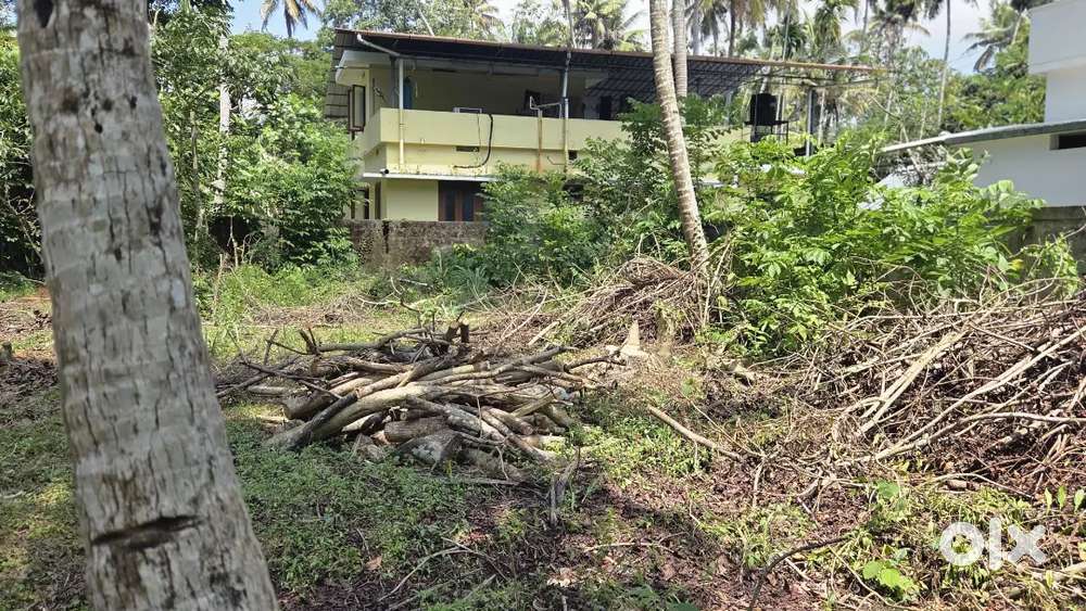 10 cent plot ചേർത്തല തൈക്കാട്ടുശ്ശേരി മെയിൻ റൂട്ടിൽ നിന്നും 200 മീറ്റർ