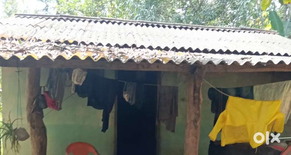 35 gunta Open lan and 1-20 gunta revenue lan sale   near Dandeli city