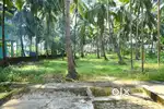 Agricultural land for sale in Manuru Kota