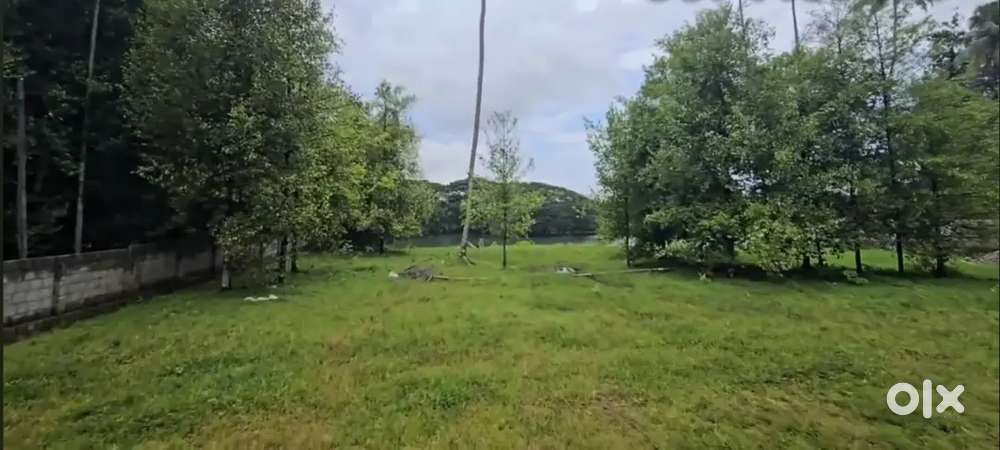 Aluva Desom near anjaneya temple 6 cent house plot for sale