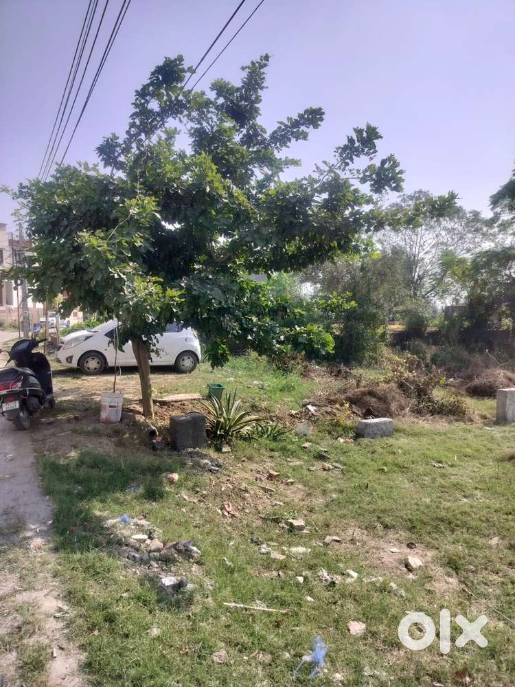 300 gaj plot for sale in mehta colony