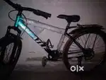 BEATLE CYCLE
