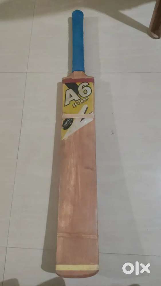 A6 Softball Cricket Bat!