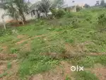 We are selling our property which is located in gangondanahalli