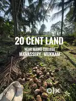 20 cent land in manassery