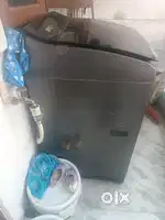 2 years old