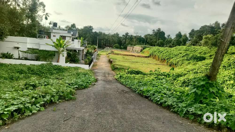 Kothamangalam, mathirappalli