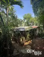 Residential Land for sale (electricity + watersupply available)