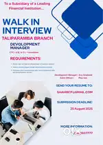 Development Manager