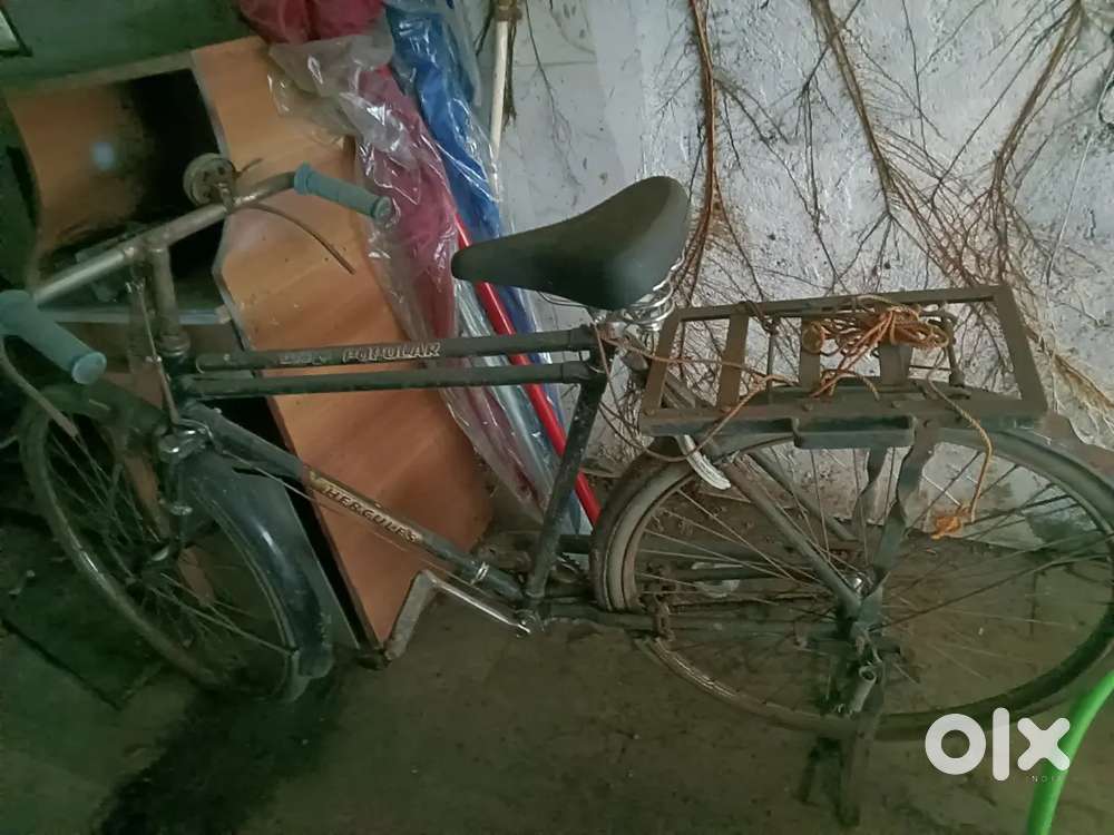 simple bicycle use for commercial purpose and home