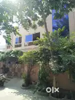 Pant house rent