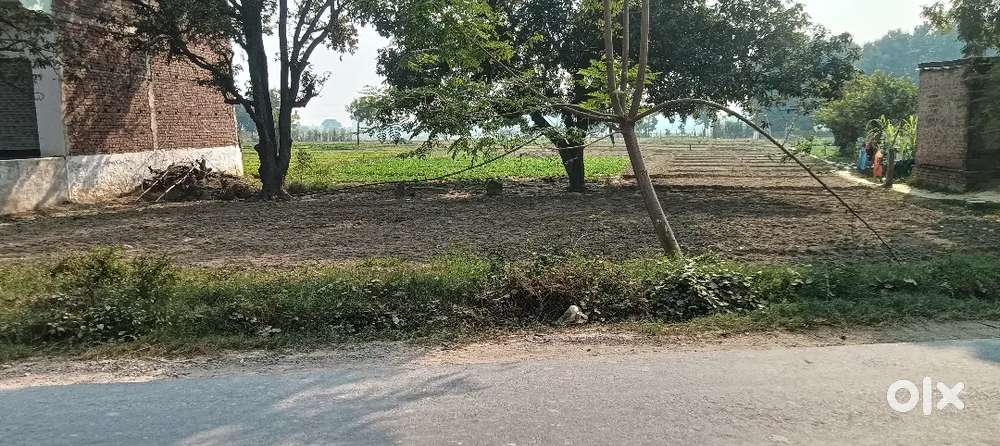 12240 Sq Ft Commercial Plot for Sale nr NH-31,On Saidpur Bhitari Road