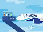 Required for Male and female candidates for indigo Airlines jobs