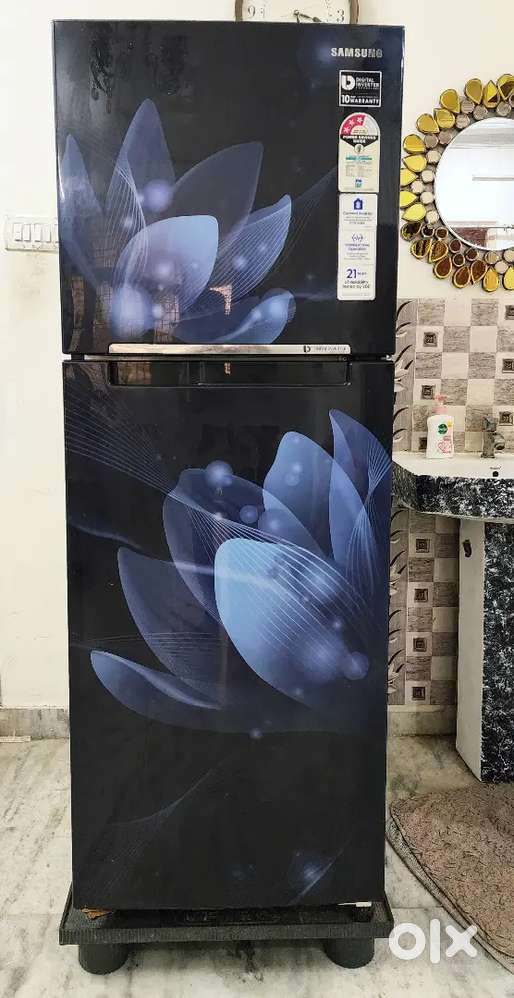 SAMSUNG Double door 253 Liters digital inverter