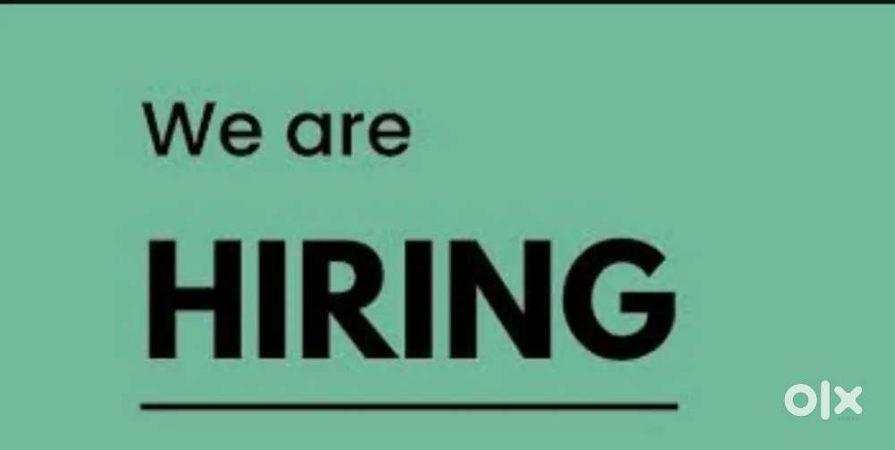 Wanted Accounts Executive & Ass.Manager