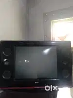 LG TV with hood