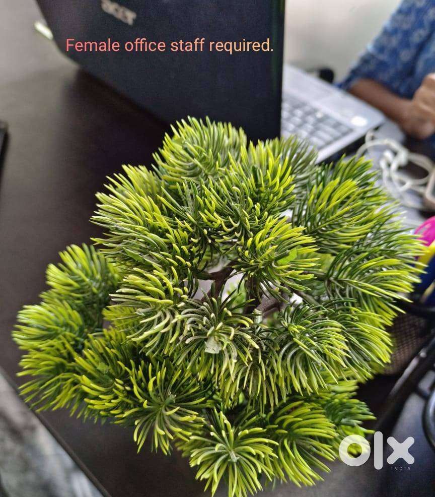 Female office assistant cum Receptionist.