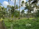 പ്ലോട്ടുകൾ ആക്കാൻ പറ്റിയ വസ്തു വിൽപ്പനയ്ക്ക് .