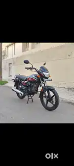 Honda shine 100