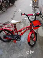 Pride cycle