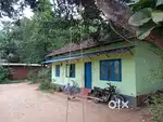 House with 10cent plot for sale in just 2.5 lakhs/cent