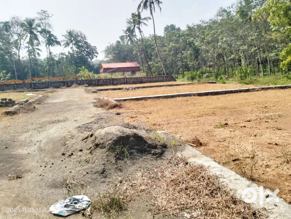 Chottanikkara temple global school area plot for sale