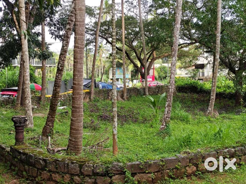 Perambra, Kozhikode 10 cents land plot.