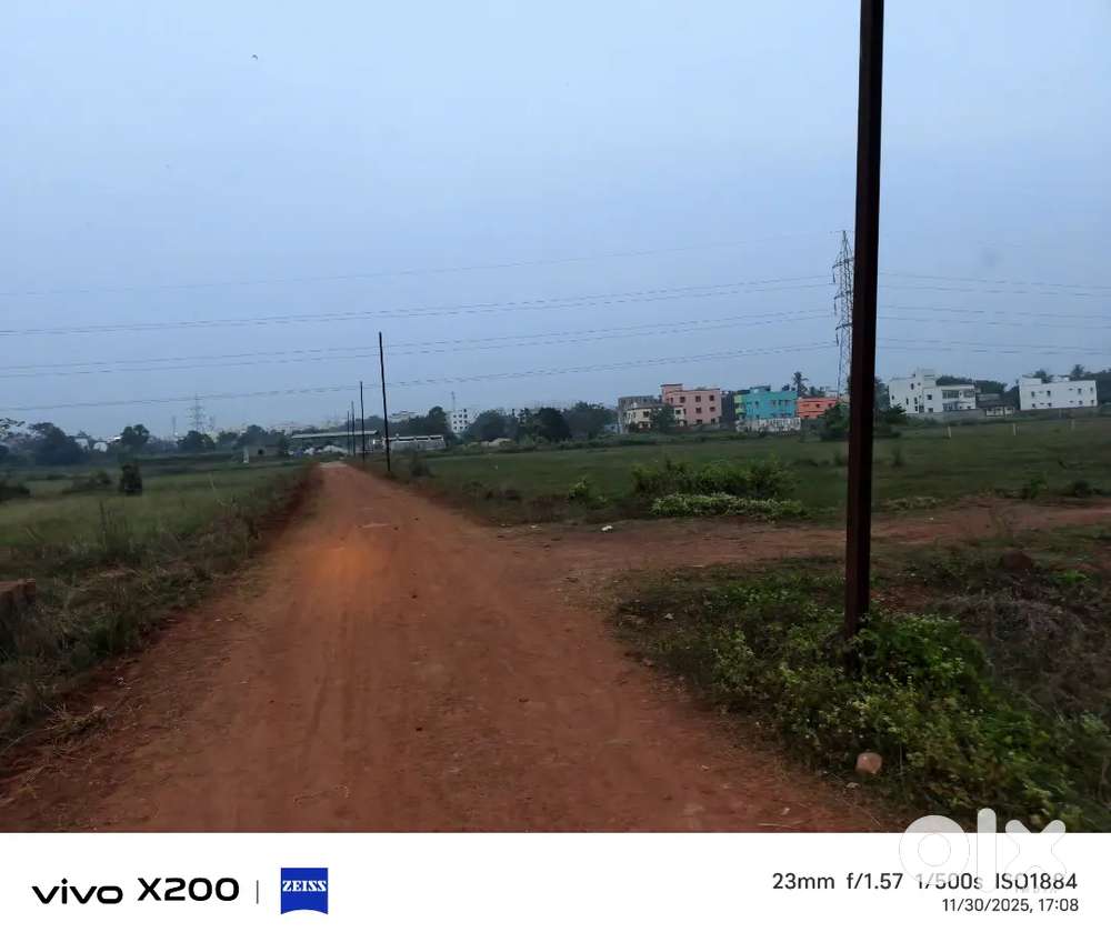 Allms hospital back side