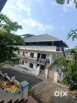Newly built Two  BHK apartment in Thodupuzha town for rent