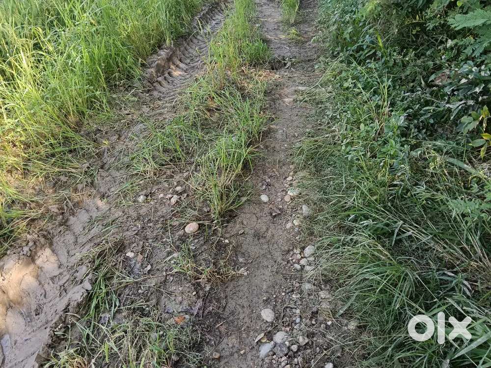 main highway rode nangal to chadighar