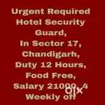 5 Star Hotel Security Guard Job Chandigarh 81
