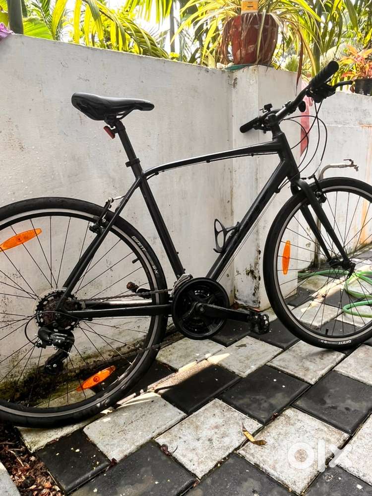 Giant Esacpe 3 large