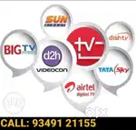 DTH Recharge Dealers Calicut, Long Term Recharge Offers