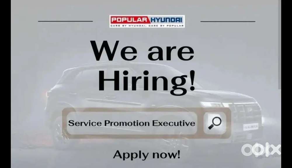 Service Promotion Executive