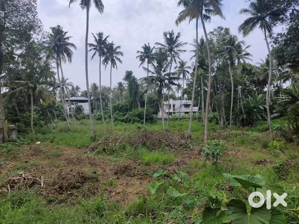 66 cent roadside land for sale – Karumam, Thiruvananthapuram – 9L/cent